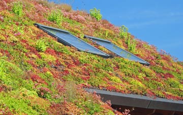 Bridge Of Orchy living roof systems