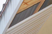rated Bridge Of Orchy soffit repair companies